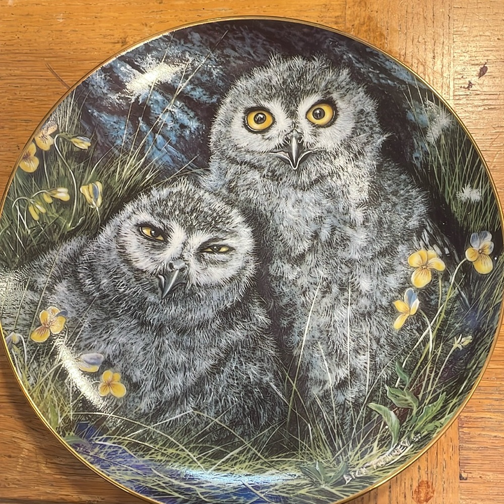 Plato de colección con Buos